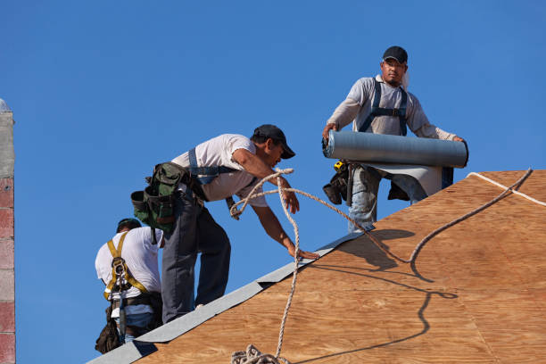 Professional Roofing Contractor in Tracyton, WA