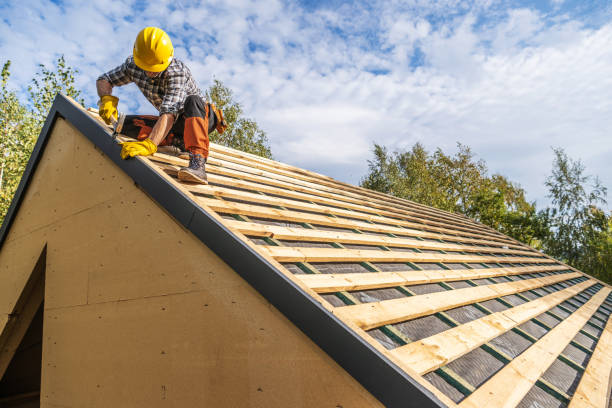 Best Roof Maintenance Services  in Tracyton, WA